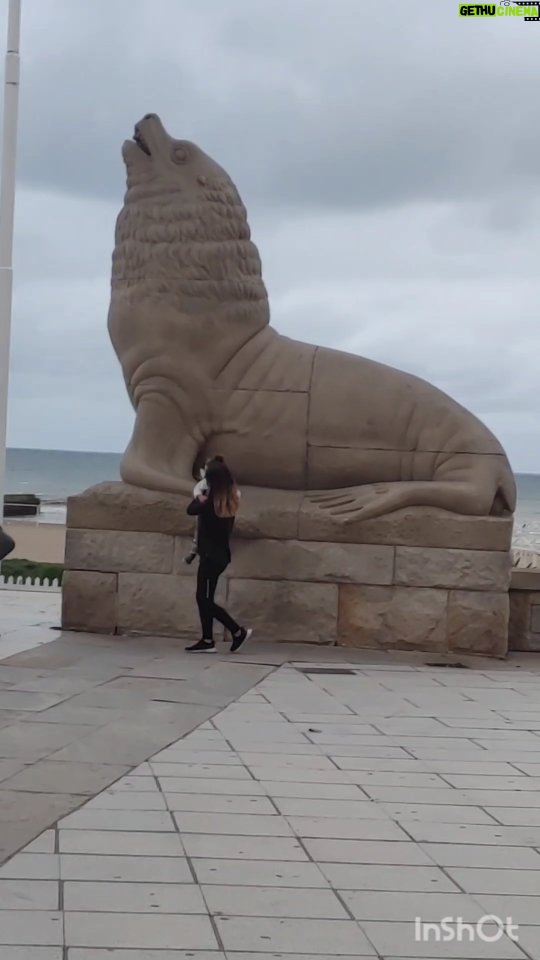 Martín Fabio - 2.2K Likes - 🎶y si no me encontrás🎶 #mardelplata #laperladelatlantico #lafeliz 😀 @mardelenbici
