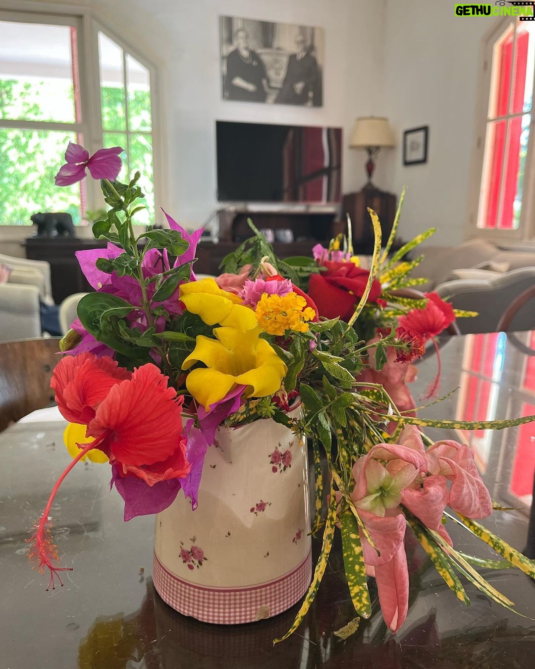 Martha Nowill Instagram - bloco dos rurais parte 2, adeus carnaval dois mil e vinte e quatro, da ala “tudo passa, só o roxo do meu braço continua”
