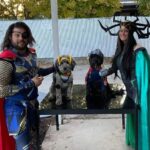 Martin Casaus Instagram - Thanks to @nat.sartorial for taking pictures of the Odinson family on Halloween. We partied, we handed out candy, we played with cute ass puppies. Good Halloween. Halloween is my fav holiday! What's your favorite Halloween memory or tradition? #MartinCasaus #HouseofCasaus #Mcfluffs #Mclove #SaltLakeCity #SLC #VisitSaltLake #Utah #SaltLake #UtahGram #UtahTravel #SLCCreativeCommunity #SLCContentCreators #utahcontentcreator #HouseofCasaus #Mcfluffs #Mclove #thordogofthunder #lokidogofmischief #Jasperdog #Brutusdog #Furbabies #dogsofinstagram #dog #puppy #petsagram #doglove #Furbaby #puppygram #puppyeyes Salt Lake City, Utah