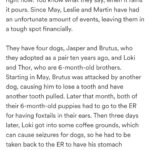 Martin Casaus Instagram - It's definitely hard for me to ask for any type of help. Especially when I try to be the rock for others. But our good friend @carli_harper3 recognized the struggle we've been having and wanted to create this gofundme for us. We appreciate all the love we have already gotten from people and the help. I know we will bounce back but this set back has definitely messed with my head a bit. But I got a job that I start Monday to help dig us out of this hole, but any help is appreciated and, when we can, we will be giving back as soon as we are able. Thank you all who have been there for us and who continually support us. I have the best community and truly appreciate you all. ❤️ Link in bio for the gofundme: https://gofund.me/2cb66373 Or you can donate on venmo as well at Leslie-Dean-1