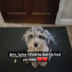 Martin Casaus Instagram - I think Loki likes the food @ms_laylee makes the pups ❤️❤️ Anyone's else's dogs get super excited for food time??? Salt Lake City, Utah