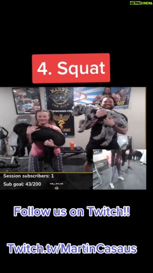 Martin Casaus Instagram - How to do proper squats when puppies invade your gym stream!! #MartinCasaus #Mcfluffs #HouseofCasaus #Mcfitness #puppyworkout #puppyfit #puppytraining #dogfitness #puppyloveandfitness #fitpuppy #dogworkout #puppycardio #doggyfitness #puppygains #doggyexercise #puppyplaytime #puppyexercises #doggygym #puppytreadmill #doggyfitnessmotivation #puppyfitfam #puppygymtime #puppyfitlife #twitchstreamer #gymstream Salt Lake City, Utah