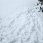 Martin Casaus Instagram – So it snowed so bad we don’t have power all day today and won’t until 10pm tomorrow night!?! Were hanging in our front room w our phones as lights
Utah has crazy snow right now that apparently won’t stop for another 48 hours. What do you do if you have no power?
#utah #snow #slc #snowfall #utahgram #utahlife #utahisbeautiful #MartinCasaus #SaltLakeCity #SLC #VisitSaltLake #Utah #SaltLake #UtahGram #UtahTravel #SLCCreativeCommunity #SLCContentCreators #utahcontentcreator Salt Lake City, Utah
