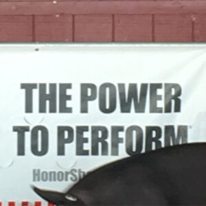 Martin Herlihy Instagram - THE POWER TO PERFORM