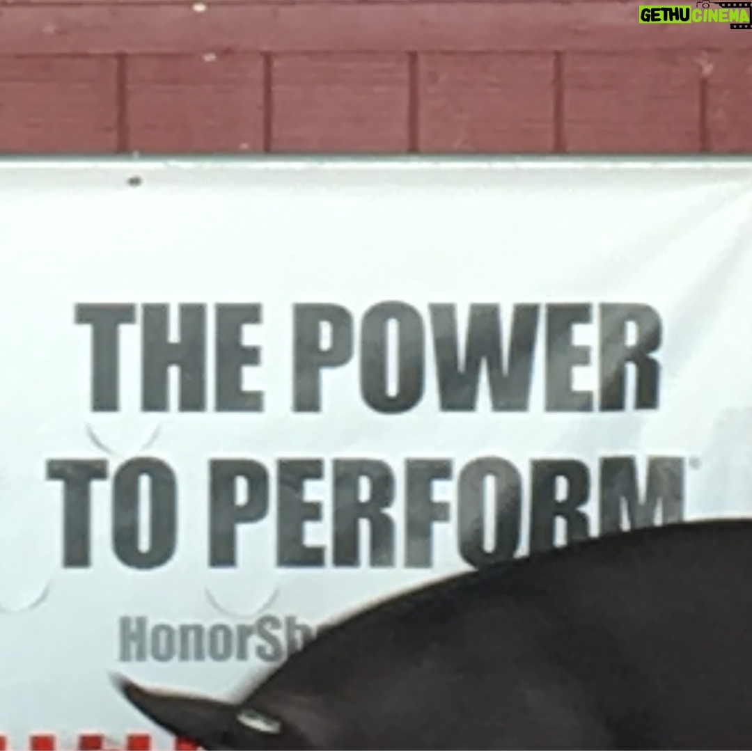 Martin Herlihy - 125 Likes - THE POWER TO PERFORM