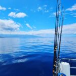 Martin Juneau Instagram - Activité de papa en solo, hier : aller à la pêche "bottom-fishing"! 🐟 Finalement, je suis revenu bredouille-mais-pas-tant parce que des mammifères nous ont réservé toute une surprise! 🐬 💙 💦 🩵 @alohabluecharters