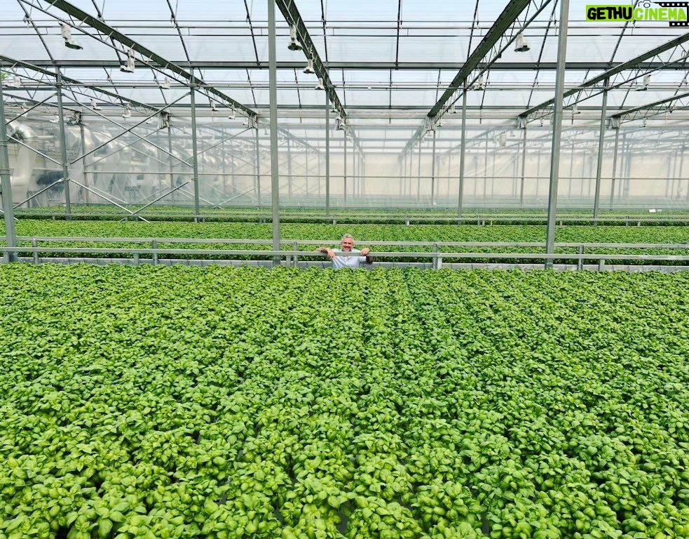Martin Juneau Instagram - Quelle visite rafraîchissante aujourd'hui chez les @serresgourma à Saint-Norbert, aka le paradis des herbes fraiches! 🌿 Merci à Charles Verdy et toute son équipe pour l'accueil incroyable. 💚 #ExpertEnHerbes #SeCoucherPlusCultivé