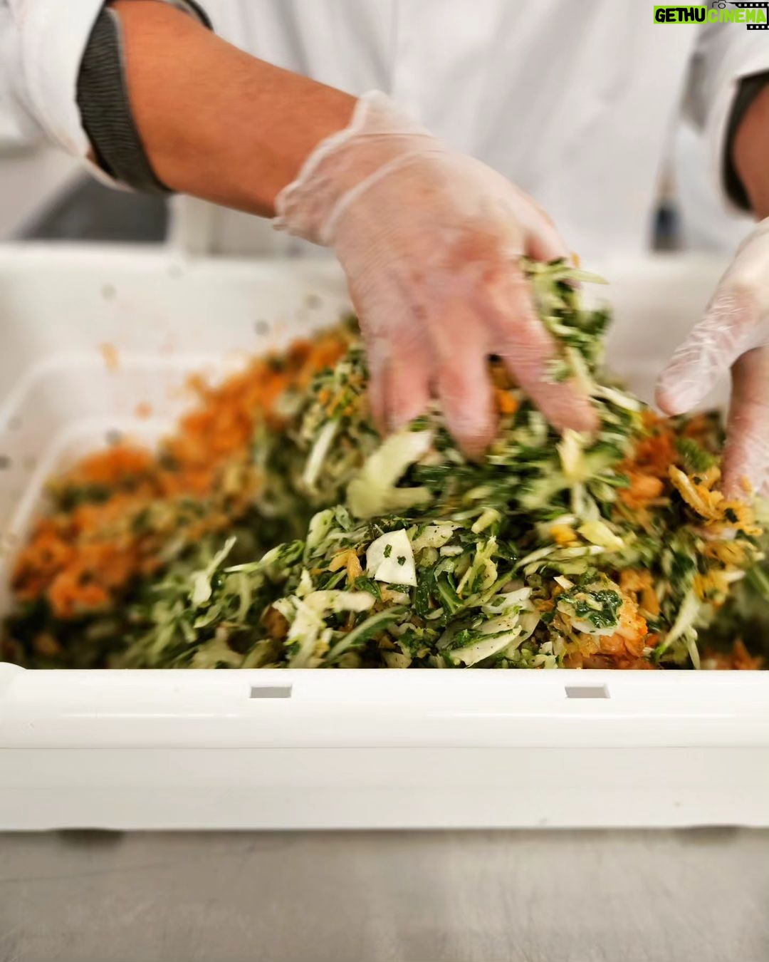 Martin Juneau Instagram - Grosse production de la garniture kimchi/bok-choï pour le porc BBQ coréen! 🐷 🥬 🌶 🍚 Un des plats "MJ pour @metromonepicier" les plus populaires! 👌 ...Et un de mes préférés. Est-ce que vous l'avez essayé? 👋 #KimchiBokChoï #MartinJuneauPourMetro #MangerCestLaVie