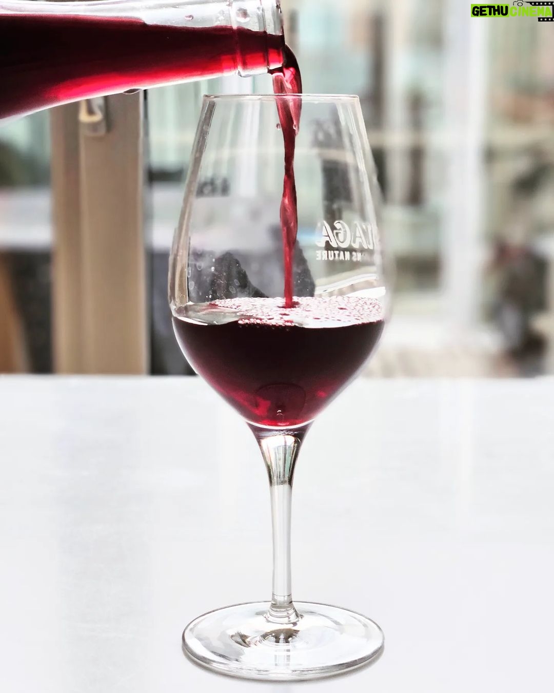 Martin Juneau Instagram - Besoin d'un verre. @robertsval