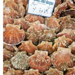 Martin Juneau Instagram - Toute est top. 🐚 🦪 @robertsval #SaintJacques Marché Popincourt