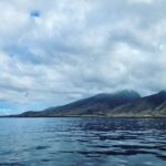 Martin Juneau Instagram - Activité de papa en solo, hier : aller à la pêche "bottom-fishing"! 🐟 Finalement, je suis revenu bredouille-mais-pas-tant parce que des mammifères nous ont réservé toute une surprise! 🐬 💙 💦 🩵 @alohabluecharters
