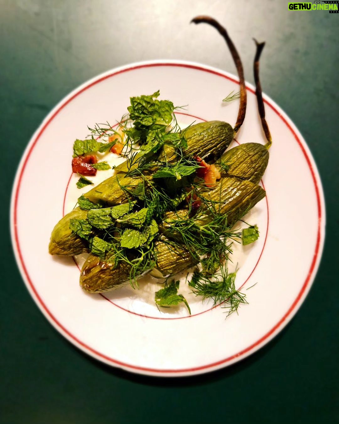 Martin Juneau Instagram - Concombres libanais à 'broil', yogourt citron, ail confit, aneth et menthe fraiche. 🥒 🧄 🍋 Tout ça pour faire manger ses légumes à @casinotte pendant le @snackpodcastfootball d'hier soir. #SnackPodcast #SnackTalk