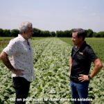 Martin Juneau Instagram - En crudité, en potage, en purée, en salade, cru ou cuit : le chou-rave est beaucoup plus polyvalent que la croyance populaire. Suivez @martin_juneau pendant sa rencontre avec Marc-André Chenail, propriétaire des fermes Soleil, où ils démystifient ensemble ce légume frais et croquant.