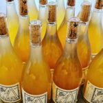 Martin Juneau Instagram - C'est la première fois que nous recevons la gamme de vins Savoyards/Auvergnats du Domaine de la Bohème @pinardier. 🍇 L'Altesse et la Mondeuse risquent de provoquer de grandes émotions grâce au talent unique de Patrick Bouju! 🍷 *Erratum* Nous avons déjà eu de la Jacquère, mais en quantité ultra limitée! 💜 #Altesse #Mondeuse #PatrickBouju #DomaineDeLaBohème #VoletImportation #VoletAndFriends #VoletXGlou 👉Nicolas@glou-mtl.com if you're feeling lucky.