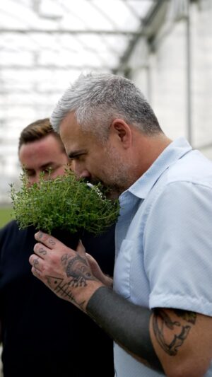 Martin Juneau Instagram - La plupart des Québécois pensent que les fines herbes ne se congèlent pas... @martin_juneau est allé à la rencontre d’un expert en herbes, Charles, producteur des @serresgourma pour répondre à cette question! 🌿