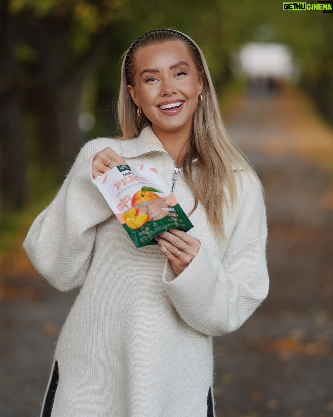 Martine Lunde Instagram - Annonse @sunshinedelights_no Jeg er en snackser, og tørka fersken blir jeg aldri lei av🍑 Disse er så utrolig gode, og har en skikkelig digg og saftig smak av fersken! Kjapp deg innom nærmeste matbutikk, og jeg lover at du ikke vil angre🧡 Oslo, Norway