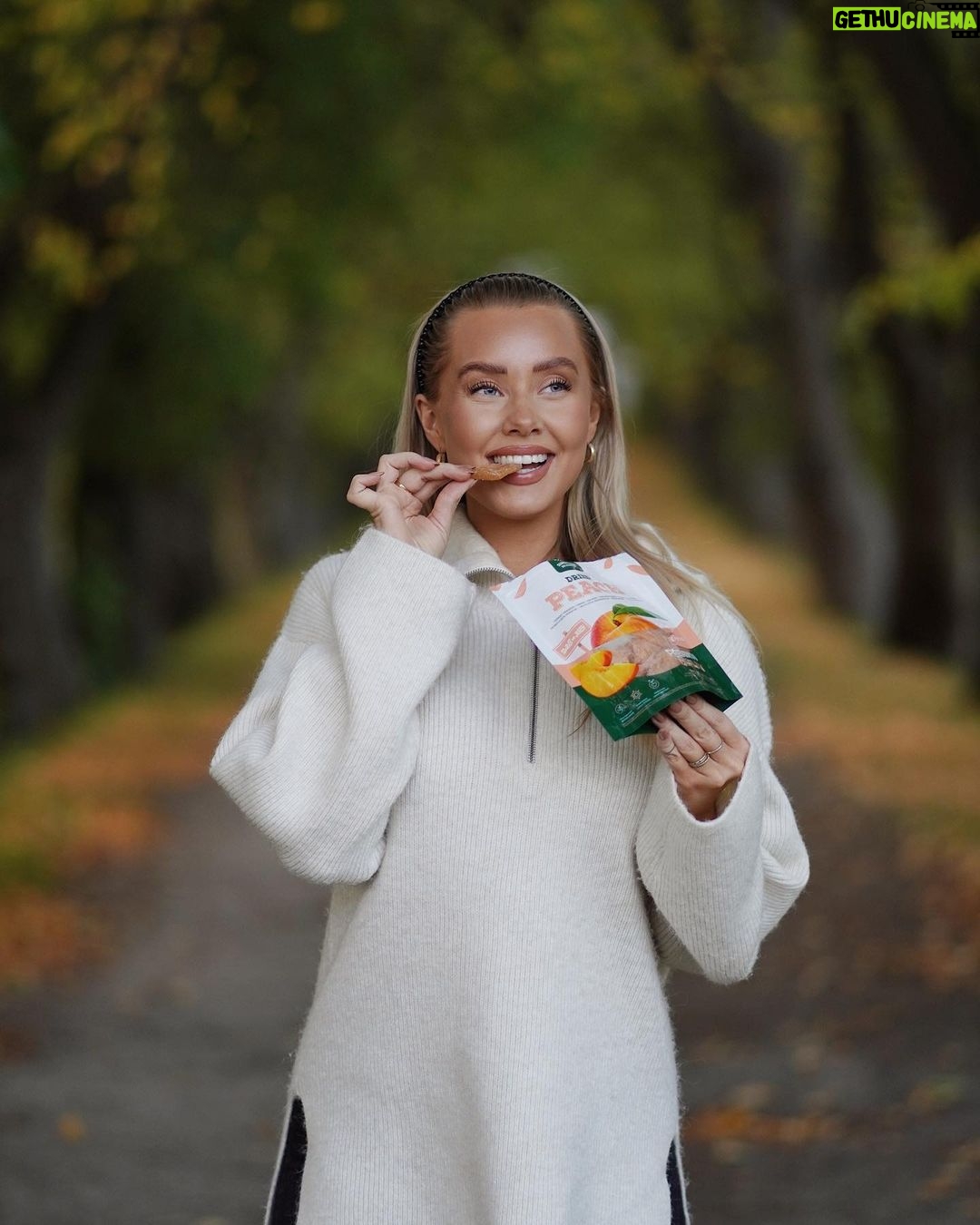 Martine Lunde Instagram - Annonse @sunshinedelights_no Jeg er en snackser, og tørka fersken blir jeg aldri lei av🍑 Disse er så utrolig gode, og har en skikkelig digg og saftig smak av fersken! Kjapp deg innom nærmeste matbutikk, og jeg lover at du ikke vil angre🧡 Oslo, Norway