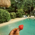 Marvin Pellegrino Instagram – Début d’été & son méli-mélo 🍭 🌞
