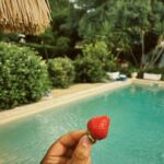 Marvin Pellegrino Instagram - Début d’été & son méli-mélo 🍭 🌞