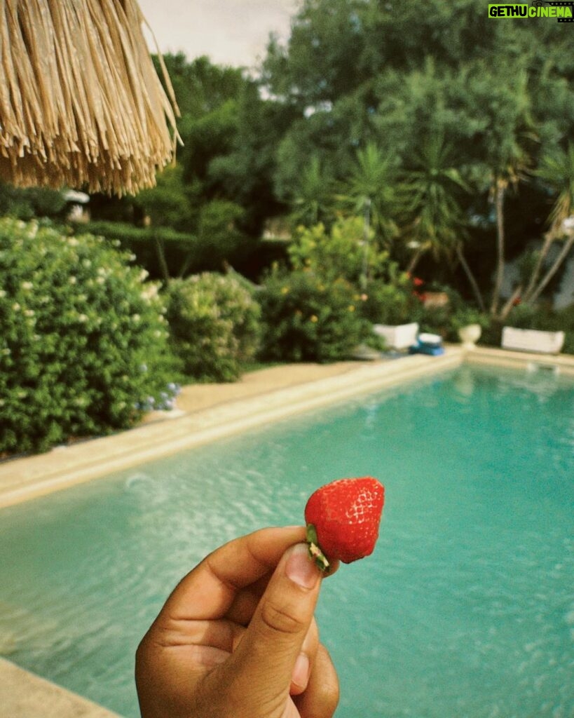 Marvin Pellegrino Instagram - Début d’été & son méli-mélo 🍭 🌞