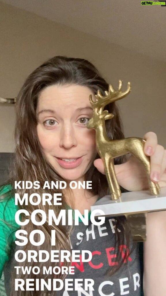 Mary Katharine Ham Instagram - Had a little mishap in shipping for our mantle reindeer. The store replaced, but my husband had a better idea. I have since read up on the science of reindeer and it turns out, reindeer are one of few or the only species of deer in which the female has antlers! So, I guess these reindeer are just regular deer now. 🦌🎄❤️ #christmasdecor #reindeer #christmas #rudolphtherednosedreindeer