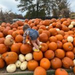Mary Katharine Ham Instagram - It’s like some kind of curse that every time I go to the pumpkin patch 🎃, it absolutely must be 80 degrees. Four kids, fall clothes, August weather! A comedy of errors. I’m so glad I didn’t make them all wear matching cardigans or something. They are very dirty and we all had fun! (Also, the toddler is not being rude. The kids are encouraged to climb the pumpkin pile.)