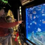 Mary Katharine Ham Instagram – Second Christmas at the beach, featuring some excellent kid-wrangling by me (and my bro-in-law in the background). Exploring some piers, making sure my toddler doesn’t jump in, seeing the aquarium. 🌊🎄🐠