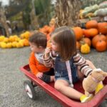 Mary Katharine Ham Instagram - It’s like some kind of curse that every time I go to the pumpkin patch 🎃, it absolutely must be 80 degrees. Four kids, fall clothes, August weather! A comedy of errors. I’m so glad I didn’t make them all wear matching cardigans or something. They are very dirty and we all had fun! (Also, the toddler is not being rude. The kids are encouraged to climb the pumpkin pile.)