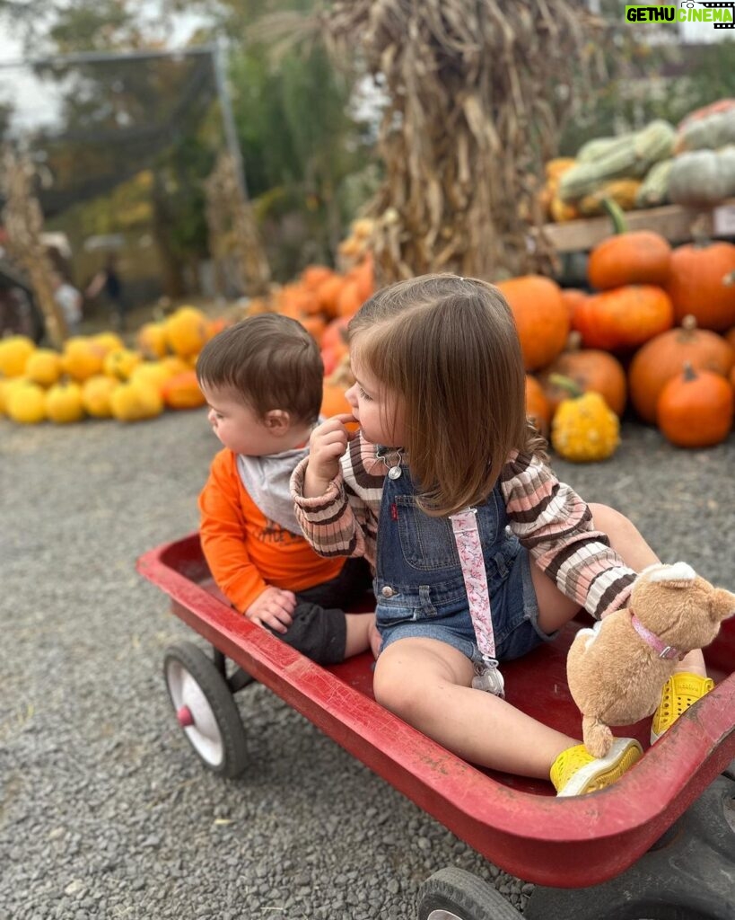 Mary Katharine Ham Instagram - It’s like some kind of curse that every time I go to the pumpkin patch 🎃, it absolutely must be 80 degrees. Four kids, fall clothes, August weather! A comedy of errors. I’m so glad I didn’t make them all wear matching cardigans or something. They are very dirty and we all had fun! (Also, the toddler is not being rude. The kids are encouraged to climb the pumpkin pile.)