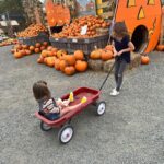 Mary Katharine Ham Instagram - It’s like some kind of curse that every time I go to the pumpkin patch 🎃, it absolutely must be 80 degrees. Four kids, fall clothes, August weather! A comedy of errors. I’m so glad I didn’t make them all wear matching cardigans or something. They are very dirty and we all had fun! (Also, the toddler is not being rude. The kids are encouraged to climb the pumpkin pile.)