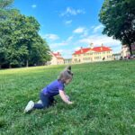 Mary Katharine Ham Instagram - Took all 4 kids to meet @karolinpublic and kids at Mt. Vernon, which is a bit of a family tradition at this point whenever they’re in town. It went great except for the part where George Washington built retaining walls on his back lawn in such a way as to not spoil the view in any direction, so it’s impossible to tell your toddler is headed for a 4-ft drop because you just think it’s just a cute row of bricks and then a teenager from a tour group who can see from another angle swoops in to save her. Thanks, teenager! Those invisible retaining walls are called “Haha walls” because it’s very funny to foil a veteran mom who is being very chill about her toddler, Father of Our Country.