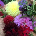 Mary Wiseman Instagram – Cuttings