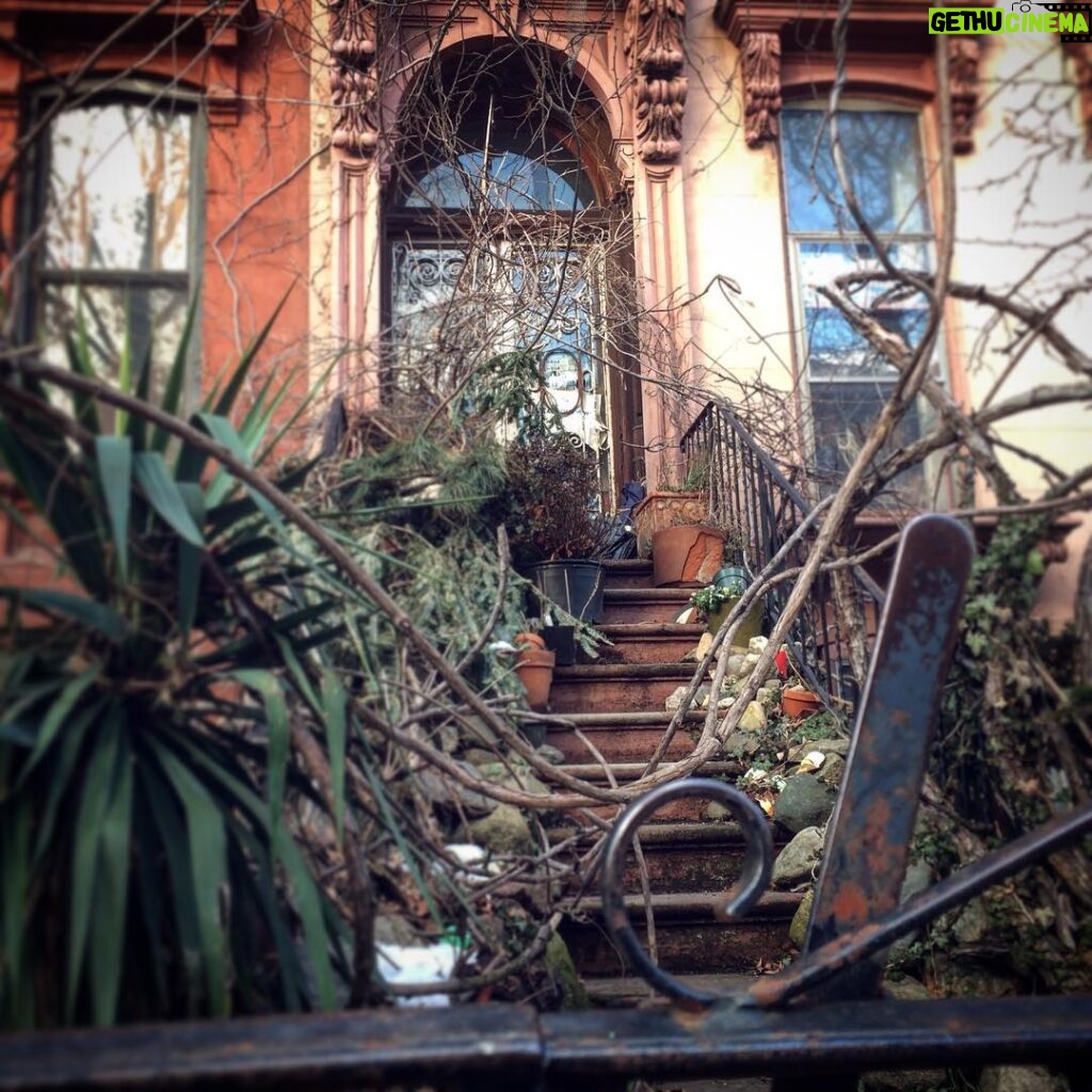 Mary Wiseman Instagram - Ol' Witches Brownstone Prospect Heights