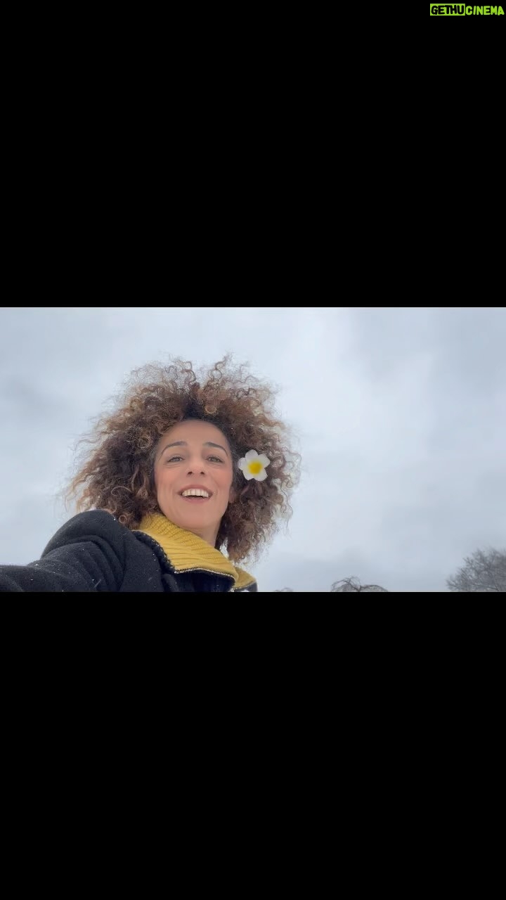Masih Alinejad Instagram - وقتی که برف می بارد، وقتی که باران میبارد انگار به خانواده و خانهام نردیکترم….
