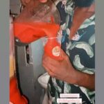 Massengo Júnior Instagram - Uma das coisas que mais admiro em mim é que eu sou correria total desde mlk , comigo não tem tempo ruim. Vocês vão me ver em clipes , reality, campanha , mas tb vão me ver trabalhando com publico se preciso for . Dinheiro só é lindo quando é limpo e de suor. Nunca gostei de nada fácil ou de depender dos outros . @maisfrozen é uma parada minha que eu acredito muito , de todos os trabalhos que eu faço é um dos que mais gosto de fazer . São 3 anos nesse corre, quando a parada estava caminhando veio a pandemia que ferrou tudo , desanimei assim como qualquer pessoa , o tempo ruim passou e sigo na correria fazendo essa bebida saborosa e refrescante que ninguém resiste kkk Ahhh, se vc ainda não provou é só colocar lá no @beachclubprainha que todo domingo to lá . Pra você que quer levar essa bebida pro seu aniversário é só chamar no direct da @maisfrozen para maiores informações 🫶🏾❤️🍹 A parte engraçada de trabalhar com Frozen é que tem sempre alguém que me segue ou que me viu em algum trabalho, clipes , Fotos e tals chega e fala tu parecer com o Massengo ou quando falam meu nome errado kkk Menssenger , Masego kkk