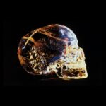 Massimo Polidoro Instagram - Sembra che secondo un’antica leggenda Maya nel mondo esisterebbero 13 antichissimi teschi di cristallo che un giorno si ritroveranno tutti insieme e allora vedrà la luce una nuova Era cosmica. Molti ritengono che questi teschi siano stati scolpiti migliaia o addirittura decine di migliaia di anni fa da un'antica civiltà mesoamericana. Altri pensano che possano essere reliquie della leggendaria isola di Atlantide o la prova che gli extraterrestri avrebbero visitato gli Aztechi prima della conquista spagnola. Ma come stanno veramente le cose? Ascolta il mio podcast "Ai confini", su tutte le piattaforme!