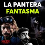 Massimo Polidoro Instagram - Davvero i paesi europei, Italia compresa, sono periodicamente attraversati da pantere, tigri, leoni e leopardi che compaiono dal nulla e poi spariscono, lasciando tutti con un palmo di naso? Da dove arrivano di preciso? E dove vanno? Sono animali autentici o, come suggerisce qualcuno, potrebbe trattarsi di un fenomeno paranormale ancora sconosciuto? Oppure potrebbe trattarsi di un’illusione, il frutto di una serie di paure e di voci che si rincorrono senza freni? È quello che cercheremo di scoprire oggi insieme a Strane Storie!