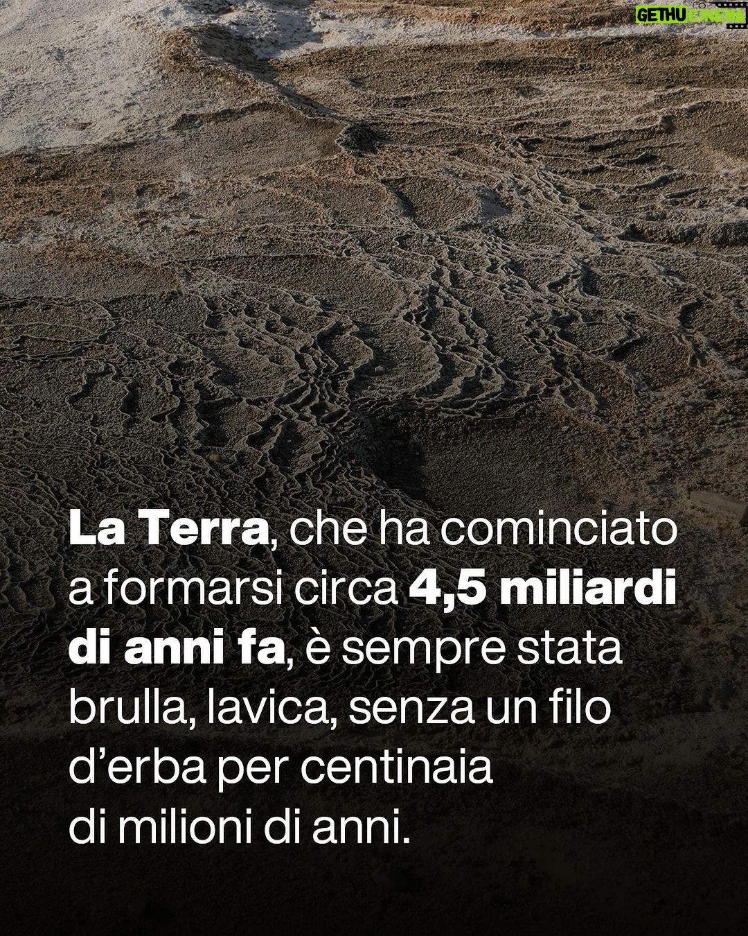 Massimo Polidoro - 2.7K Likes - Che meraviglia l’approccio di Piero Angela, questo suo modo di spiegare le cose affinché tutti possano capirle al meglio, questa grande capacità narrativa di catturare la curiosità del lettore e trascinarlo nell’affascinante avventura della conoscenza.
“La meraviglia del tutto” è sì un libro divulgativo, ma prima ancora è un libro filosofico.
«Voglio condividere le mie impressioni. Domande brevi e risposte non troppo lunghe: un botta e risposta come nelle interviste sui giornali, anche se forse non sempre sarà possibile, visto che spesso le tematiche saranno complesse. Vorrei però che passassero alcuni messaggi importanti.
Uno di questi dovrà essere il fatto che è necessario svecchiare il nostro continente e il nostro paese: com’è possibile che l’insegnamento della scienza sia ancora quello che ho seguito io settant’anni fa?
Ma, soprattutto, non dovrà essere un libro pesante. Daremo per scontate alcune cognizioni di base, per dedicarci al racconto di aspetti curiosi e inaspettati, o anche a riflessioni più profonde.
Importante dovrà essere anche il tono: non dovremo essere pesanti e bisognerà mantenere sempre un atteggiamento di umiltà.
Proprio come nella scienza.»
“La meraviglia del tutto”: conversazione di Piero Angela con Massimo Polidoro.