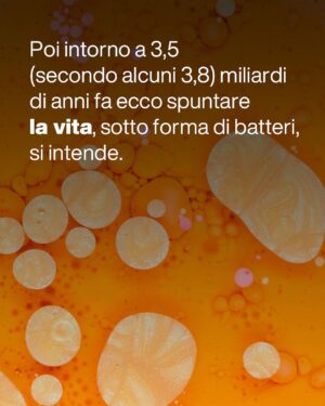 Massimo Polidoro Instagram - Che meraviglia l’approccio di Piero Angela, questo suo modo di spiegare le cose affinché tutti possano capirle al meglio, questa grande capacità narrativa di catturare la curiosità del lettore e trascinarlo nell’affascinante avventura della conoscenza.

“La meraviglia del tutto” è sì un libro divulgativo, ma prima ancora è un libro filosofico.
«Voglio condividere le mie impressioni. Domande brevi e risposte non troppo lunghe: un botta e risposta come nelle interviste sui giornali, anche se forse non sempre sarà possibile, visto che spesso le tematiche saranno complesse. Vorrei però che passassero alcuni messaggi importanti. 

Uno di questi dovrà essere il fatto che è necessario svecchiare il nostro continente e il nostro paese: com’è possibile che l’insegnamento della scienza sia ancora quello che ho seguito io settant’anni fa? 

Ma, soprattutto, non dovrà essere un libro pesante. Daremo per scontate alcune cognizioni di base, per dedicarci al racconto di aspetti curiosi e inaspettati, o anche a riflessioni più profonde. 

Importante dovrà essere anche il tono: non dovremo essere pesanti e bisognerà mantenere sempre un atteggiamento di umiltà.
Proprio come nella scienza.»

“La meraviglia del tutto”: conversazione di Piero Angela con Massimo Polidoro.