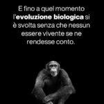 Massimo Polidoro Instagram - Che meraviglia l’approccio di Piero Angela, questo suo modo di spiegare le cose affinché tutti possano capirle al meglio, questa grande capacità narrativa di catturare la curiosità del lettore e trascinarlo nell’affascinante avventura della conoscenza. “La meraviglia del tutto” è sì un libro divulgativo, ma prima ancora è un libro filosofico. «Voglio condividere le mie impressioni. Domande brevi e risposte non troppo lunghe: un botta e risposta come nelle interviste sui giornali, anche se forse non sempre sarà possibile, visto che spesso le tematiche saranno complesse. Vorrei però che passassero alcuni messaggi importanti. Uno di questi dovrà essere il fatto che è necessario svecchiare il nostro continente e il nostro paese: com’è possibile che l’insegnamento della scienza sia ancora quello che ho seguito io settant’anni fa? Ma, soprattutto, non dovrà essere un libro pesante. Daremo per scontate alcune cognizioni di base, per dedicarci al racconto di aspetti curiosi e inaspettati, o anche a riflessioni più profonde. Importante dovrà essere anche il tono: non dovremo essere pesanti e bisognerà mantenere sempre un atteggiamento di umiltà. Proprio come nella scienza.» “La meraviglia del tutto”: conversazione di Piero Angela con Massimo Polidoro.