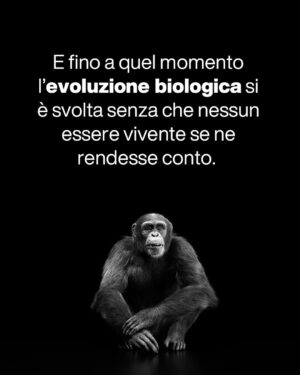 Massimo Polidoro Instagram - Che meraviglia l’approccio di Piero Angela, questo suo modo di spiegare le cose affinché tutti possano capirle al meglio, questa grande capacità narrativa di catturare la curiosità del lettore e trascinarlo nell’affascinante avventura della conoscenza.

“La meraviglia del tutto” è sì un libro divulgativo, ma prima ancora è un libro filosofico.
«Voglio condividere le mie impressioni. Domande brevi e risposte non troppo lunghe: un botta e risposta come nelle interviste sui giornali, anche se forse non sempre sarà possibile, visto che spesso le tematiche saranno complesse. Vorrei però che passassero alcuni messaggi importanti. 

Uno di questi dovrà essere il fatto che è necessario svecchiare il nostro continente e il nostro paese: com’è possibile che l’insegnamento della scienza sia ancora quello che ho seguito io settant’anni fa? 

Ma, soprattutto, non dovrà essere un libro pesante. Daremo per scontate alcune cognizioni di base, per dedicarci al racconto di aspetti curiosi e inaspettati, o anche a riflessioni più profonde. 

Importante dovrà essere anche il tono: non dovremo essere pesanti e bisognerà mantenere sempre un atteggiamento di umiltà.
Proprio come nella scienza.»

“La meraviglia del tutto”: conversazione di Piero Angela con Massimo Polidoro.
