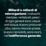 Massimo Polidoro Instagram - Che meraviglia l’approccio di Piero Angela, questo suo modo di spiegare le cose affinché tutti possano capirle al meglio, questa grande capacità narrativa di catturare la curiosità del lettore e trascinarlo nell’affascinante avventura della conoscenza. “La meraviglia del tutto” è sì un libro divulgativo, ma prima ancora è un libro filosofico. «Voglio condividere le mie impressioni. Domande brevi e risposte non troppo lunghe: un botta e risposta come nelle interviste sui giornali, anche se forse non sempre sarà possibile, visto che spesso le tematiche saranno complesse. Vorrei però che passassero alcuni messaggi importanti. Uno di questi dovrà essere il fatto che è necessario svecchiare il nostro continente e il nostro paese: com’è possibile che l’insegnamento della scienza sia ancora quello che ho seguito io settant’anni fa? Ma, soprattutto, non dovrà essere un libro pesante. Daremo per scontate alcune cognizioni di base, per dedicarci al racconto di aspetti curiosi e inaspettati, o anche a riflessioni più profonde. Importante dovrà essere anche il tono: non dovremo essere pesanti e bisognerà mantenere sempre un atteggiamento di umiltà. Proprio come nella scienza.» “La meraviglia del tutto”: conversazione di Piero Angela con Massimo Polidoro.
