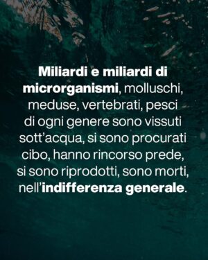 Massimo Polidoro Instagram - Che meraviglia l’approccio di Piero Angela, questo suo modo di spiegare le cose affinché tutti possano capirle al meglio, questa grande capacità narrativa di catturare la curiosità del lettore e trascinarlo nell’affascinante avventura della conoscenza.

“La meraviglia del tutto” è sì un libro divulgativo, ma prima ancora è un libro filosofico.
«Voglio condividere le mie impressioni. Domande brevi e risposte non troppo lunghe: un botta e risposta come nelle interviste sui giornali, anche se forse non sempre sarà possibile, visto che spesso le tematiche saranno complesse. Vorrei però che passassero alcuni messaggi importanti. 

Uno di questi dovrà essere il fatto che è necessario svecchiare il nostro continente e il nostro paese: com’è possibile che l’insegnamento della scienza sia ancora quello che ho seguito io settant’anni fa? 

Ma, soprattutto, non dovrà essere un libro pesante. Daremo per scontate alcune cognizioni di base, per dedicarci al racconto di aspetti curiosi e inaspettati, o anche a riflessioni più profonde. 

Importante dovrà essere anche il tono: non dovremo essere pesanti e bisognerà mantenere sempre un atteggiamento di umiltà.
Proprio come nella scienza.»

“La meraviglia del tutto”: conversazione di Piero Angela con Massimo Polidoro.
