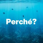 Massimo Polidoro Instagram - Che meraviglia l’approccio di Piero Angela, questo suo modo di spiegare le cose affinché tutti possano capirle al meglio, questa grande capacità narrativa di catturare la curiosità del lettore e trascinarlo nell’affascinante avventura della conoscenza. “La meraviglia del tutto” è sì un libro divulgativo, ma prima ancora è un libro filosofico. «Voglio condividere le mie impressioni. Domande brevi e risposte non troppo lunghe: un botta e risposta come nelle interviste sui giornali, anche se forse non sempre sarà possibile, visto che spesso le tematiche saranno complesse. Vorrei però che passassero alcuni messaggi importanti. Uno di questi dovrà essere il fatto che è necessario svecchiare il nostro continente e il nostro paese: com’è possibile che l’insegnamento della scienza sia ancora quello che ho seguito io settant’anni fa? Ma, soprattutto, non dovrà essere un libro pesante. Daremo per scontate alcune cognizioni di base, per dedicarci al racconto di aspetti curiosi e inaspettati, o anche a riflessioni più profonde. Importante dovrà essere anche il tono: non dovremo essere pesanti e bisognerà mantenere sempre un atteggiamento di umiltà. Proprio come nella scienza.» “La meraviglia del tutto”: conversazione di Piero Angela con Massimo Polidoro.