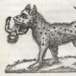 Massimo Polidoro Instagram - Nel 1792, una misteriosa Bestia feroce attaccava bambini e ragazzi in quello che allora era il Ducato di Milano, e in particolare i boschi delle zone limitrofe. La vicenda arrivò comunque a sconvolgere le comunità locali, causando panico, dicerie e… strane storie. Ascolta il mio podcast "Ai confini", su tutte le piattaforme.