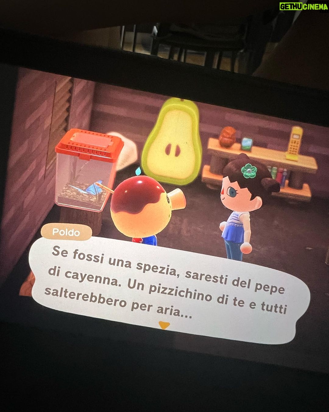 Matilda Morri Instagram - Weekend tra Pu$$y dei Rammstein, Animal Crossing e Christopher Nolan. Dirige l’orchestra il maestro Yngwie Malmsteen 🎸
