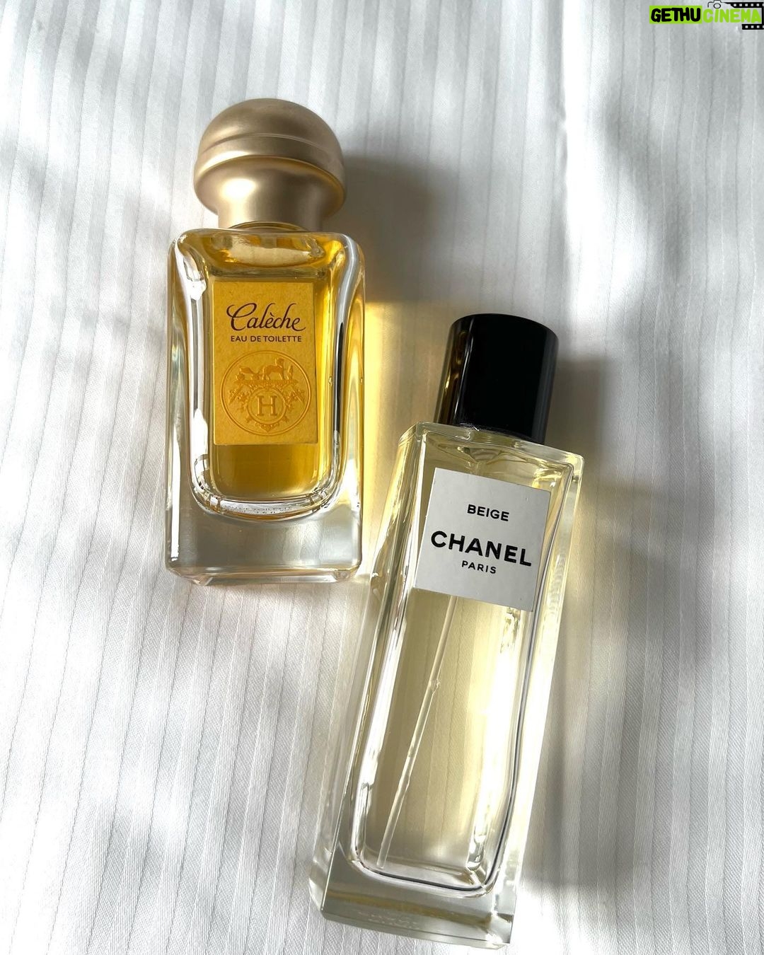 Matilda Morri Instagram - I veri Bo$$ indossano profumi che sanno di pulito 🧼 Torino