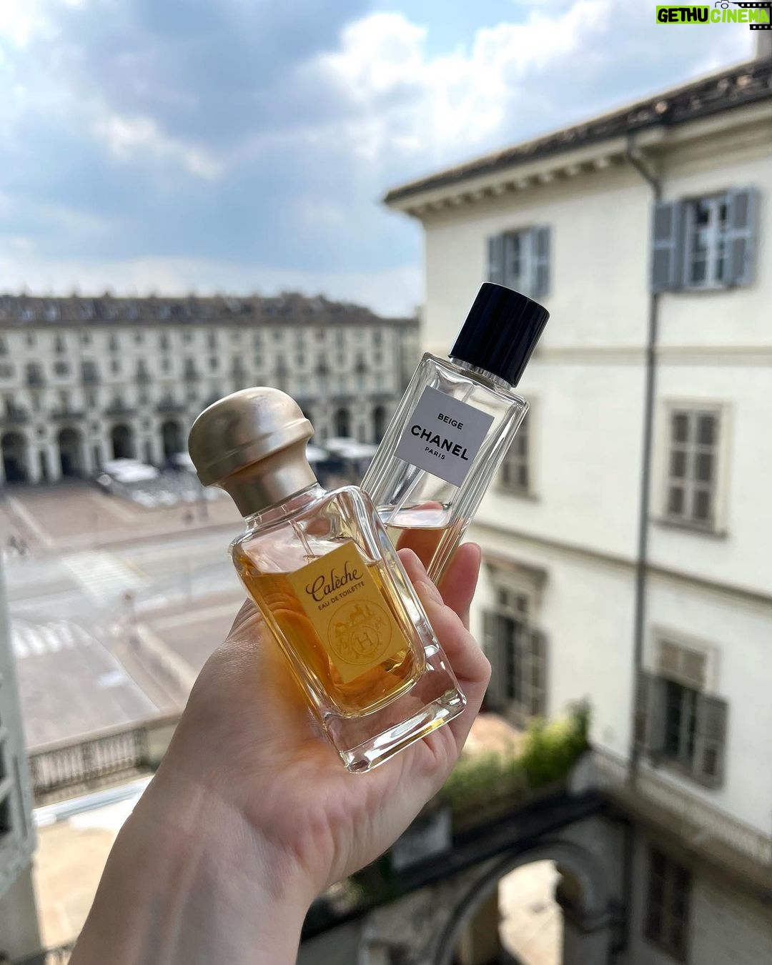 Matilda Morri Instagram - I veri Bo$$ indossano profumi che sanno di pulito 🧼 Torino