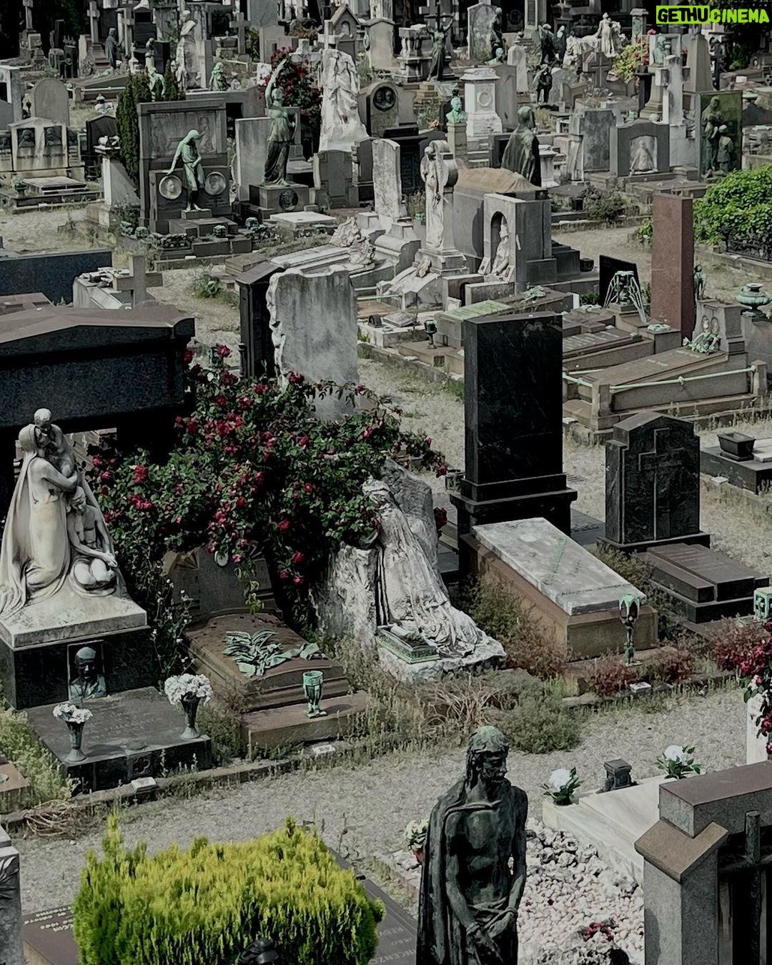 Matilda Morri Instagram - Prima domenica di maggio in buona compagnia……. Cimitero Monumentale di Milano
