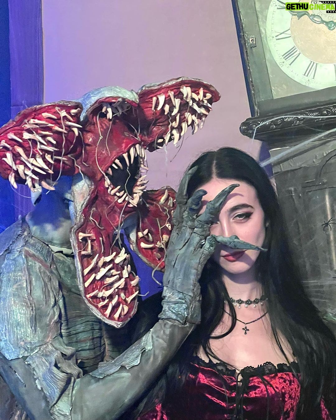 Matilda Morri Instagram - Ho passato un buon weekend tra concerto dei Lorna Shore e cose nerd a Milano Games Week, oggi è martedì e sono ancora vestita uguale